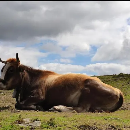 A Casa Do Avo Feriehus Lousame