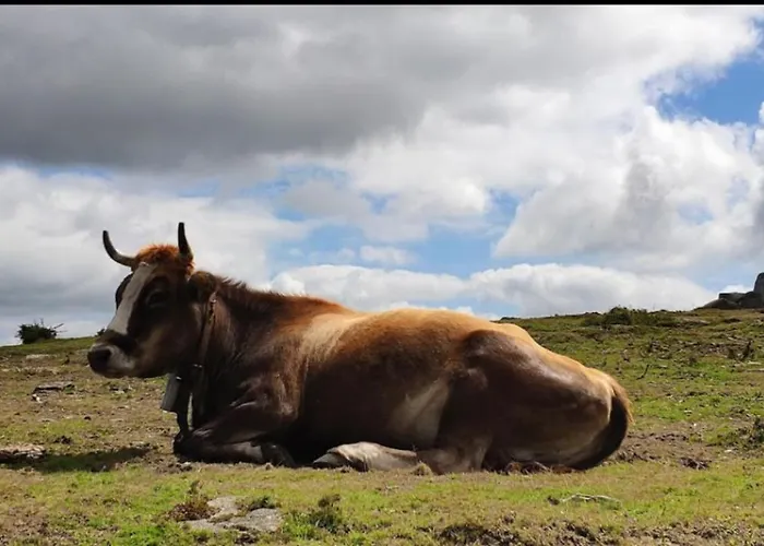A Casa Do Avo Дом отдыха Лоусаме